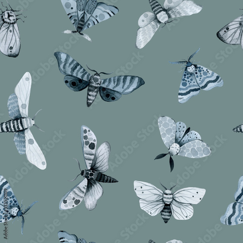 blue night butterfly  indigo butterfly seamless pattern  wild insects  watercolor vintage illustration  hand drawing