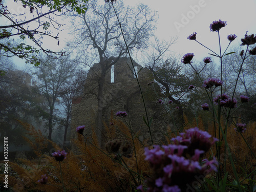 Rovine sull'Isola Margherita, Budapest