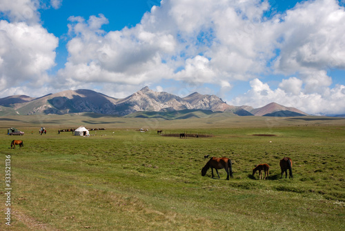 Steppe near Songkol lake. Vast pasture with grazing horses, traditional yurt and epic mountains in far background.
