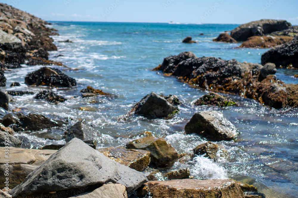 mossy beach rocks in the ocean mossy beach rocks in the ocean