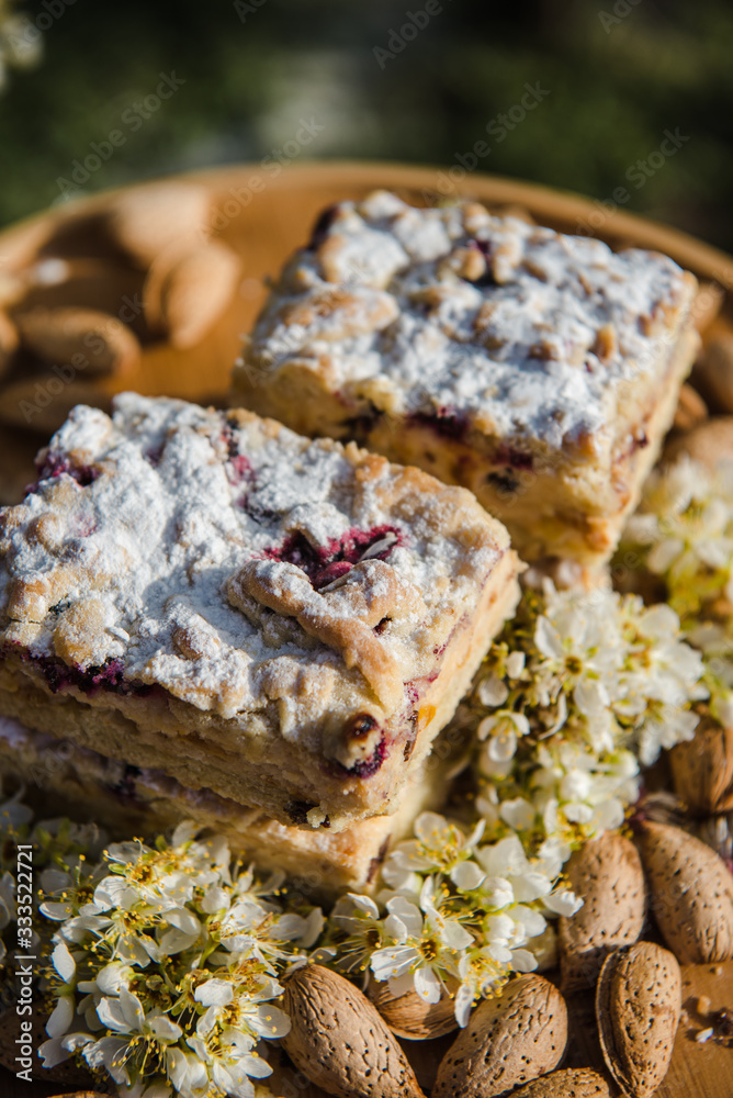 Blueberry Crumble Cake. Easter sweet dessert cake. Black currant cake. Close up view. Selective focus. Crumble cake with blueberries and homemade cottage cheese in blooming trees. Outdoor shooting
