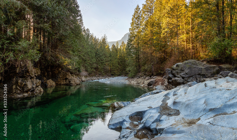 Obraz premium Beautiful Panoramic View of the river in the Canadian Mountain Landscape during a sunny winter day. Taken in Golden Ears Provincial Park, near Vancouver, British Columbia, Canada.