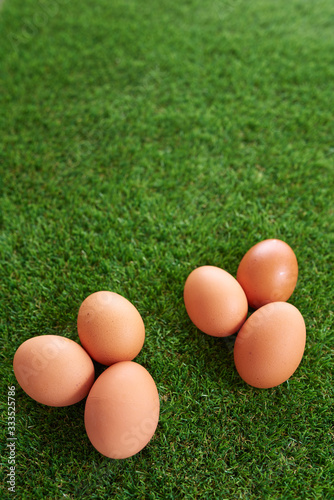  Eggs on top of green grass.