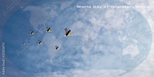 Día Mundial de las Aves Migratorias. Día internacional según las resoluciones que conmemoran las Naciones Unidas. photo