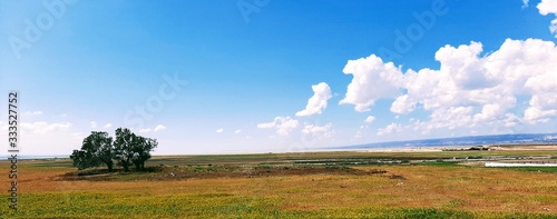 panorama campagne algerienne