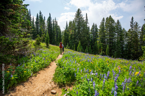 hiking in a forest clearing