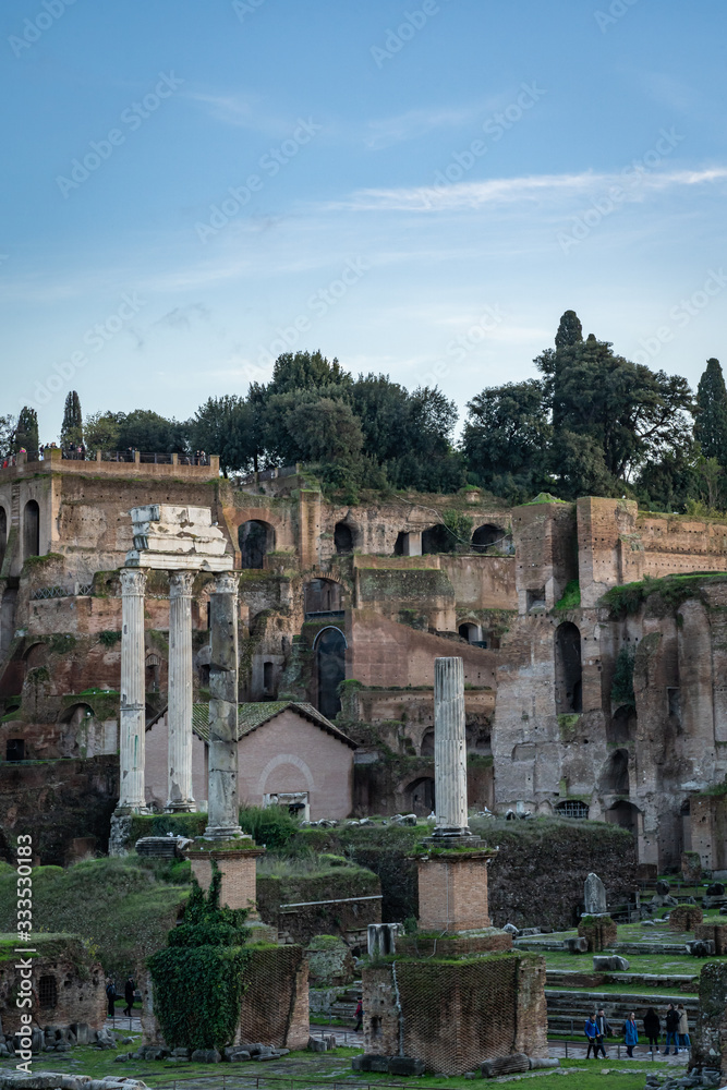 Obraz premium The Forum in Rome Italy