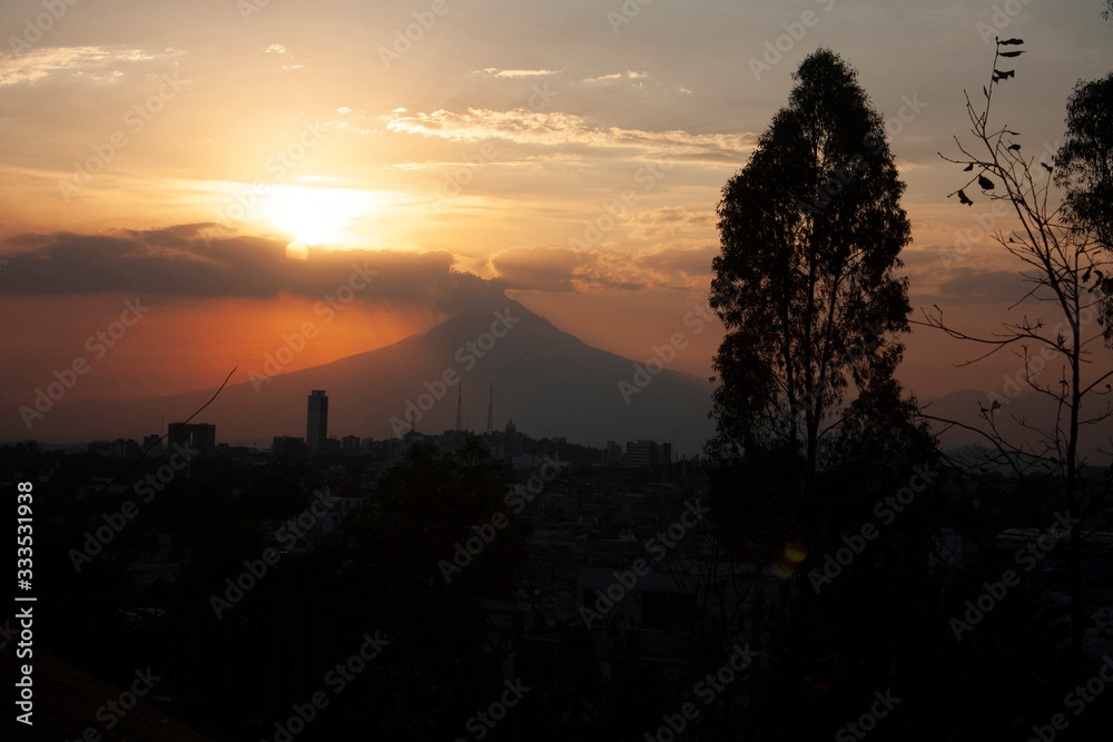 Fototapeta premium Dry branches and trees with leaves in the city of Puebla Mexico with the great Popocatepetl in the background at sunset