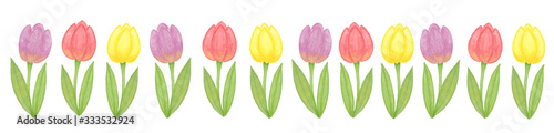 Hand drawn multi colored flowers tulips, floral design for greeting cards, invitations, textile, borders