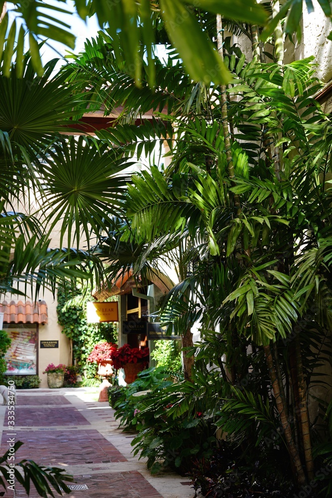 Fototapeta premium Touring tall colorful buildings in Key West Flordia