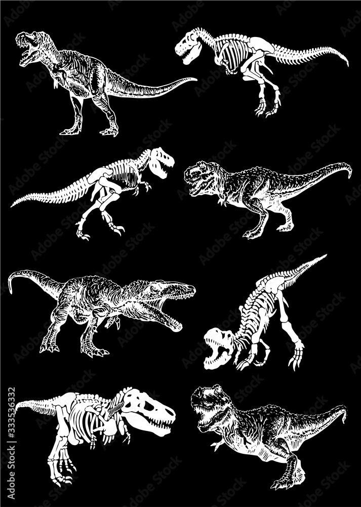 Fototapeta Graphical set of dinosaurs isolated on black background,vector illustration,paleontology