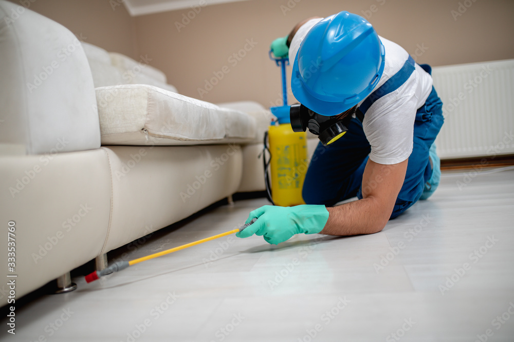 Exterminator in work wear spraying pesticide with sprayer. Exterminator in work wear spraying pesticide with sprayer.
