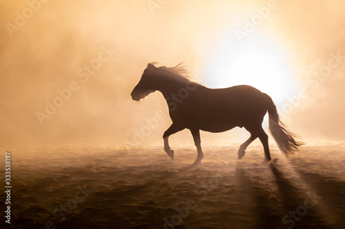 Shetland pony in smokey setting running in orange dramatic light
