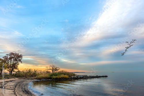 Sunset on an idyllic Chesapeake Bay beach with Canada Geese Flying over