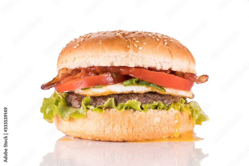 big and tasty burger for restaurant menu5 big and tasty burger for restaurant menu5