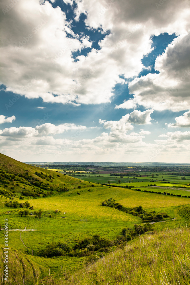 Obraz premium green fields