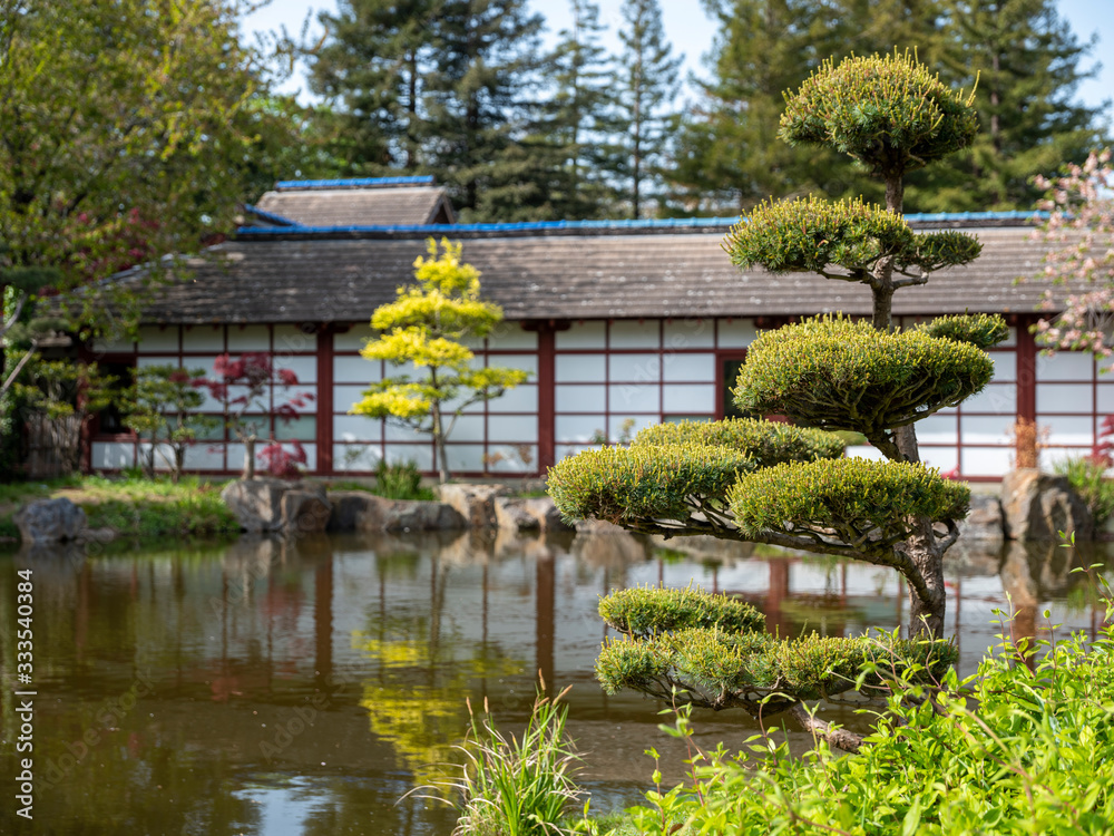 jardin japonais