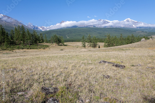 altai snow mountain and steppe forest photo