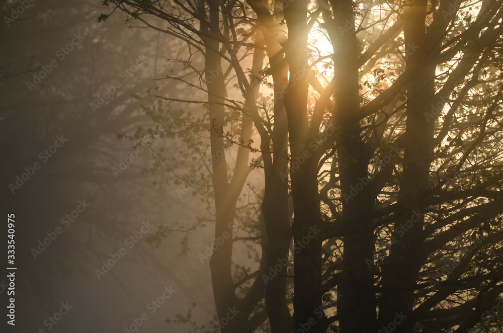 Obraz premium wschód słońca