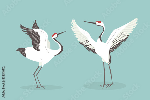 Red crowned crane flaps wings cartoon vector illustration. Mating dance of birds
