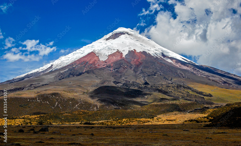 View of the Cotopaxi volcano from the Cotopaxi National Park, on a sunny morning. Ecuador