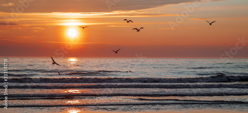 Beautiful sunset over the sea with birds © Nikolai