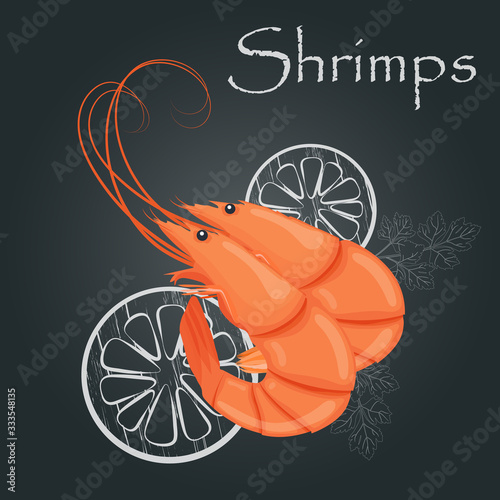 Boiled shrimps. Cooked tiger prawn. Shrimps on dark background. Sea food nutrition concept. Vector illustration.