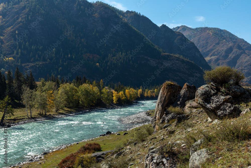 Fototapeta premium river in the mountains
