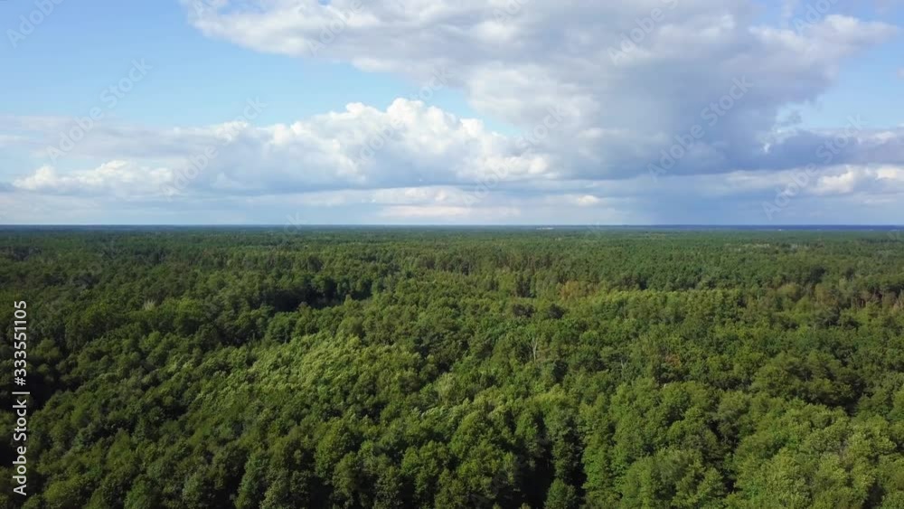 Aerial view of endless forest and cloudy blue sky Aerial view of endless forest and cloudy blue sky