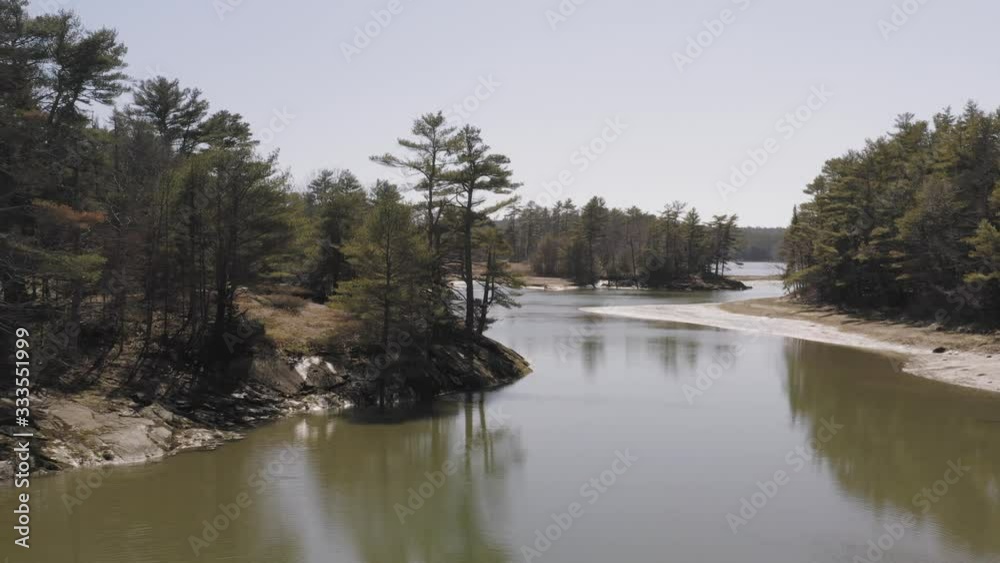 Push past a cluster of pine trees obscuring a silty estuary AERIAL Push past a cluster of pine trees obscuring a silty estuary AERIAL