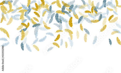 Falling feather elements soft vector design.