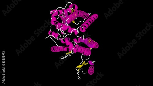 ACE2 (Angiotensin converting enzyme 2) Human cartoon model with alpha channel. Entry receptor for SARS-CoV-2. Covid-19, Coronavirus vaccine research & development, loop able, alpha channel photo