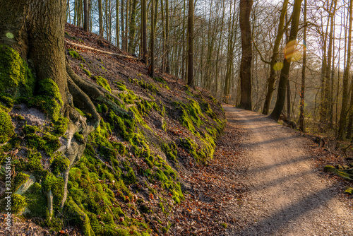 Hamburg  Germany. Forest and hiking trails near river Alster  German  Alstertal  in the spring.