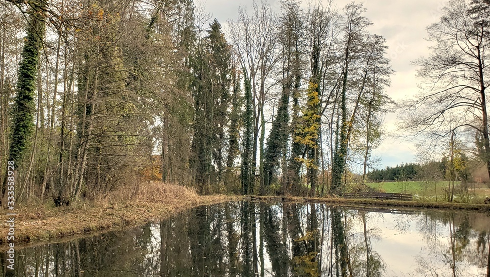 Obraz premium hiking travel and environment tourism in Germany