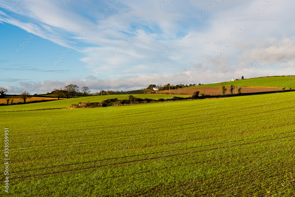 Obraz premium Rural countryside of green fields, farms and hills in Northern Ireland