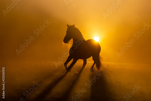 Profile of a Big painted horse galoping in smokey setting in orange dramatic light