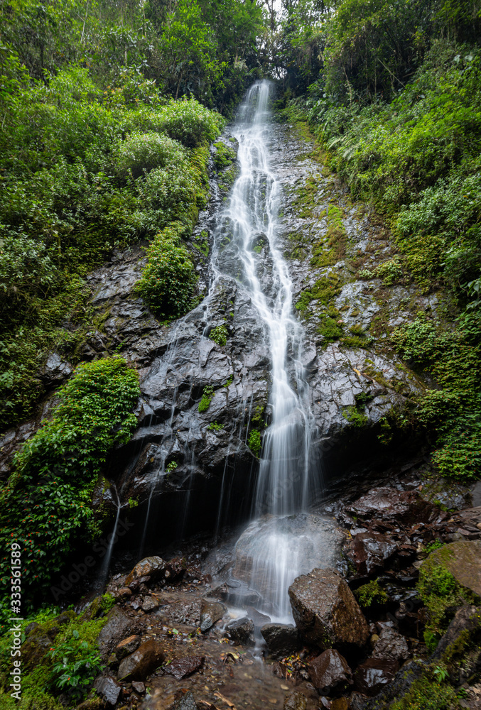 Naklejka premium Landscape photography of a waterfall in the cloud forest.