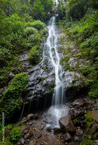 Landscape photography of a waterfall in the cloud forest.