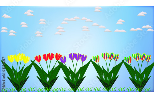 Tulpenbeet mit bewölktem Hintergrund