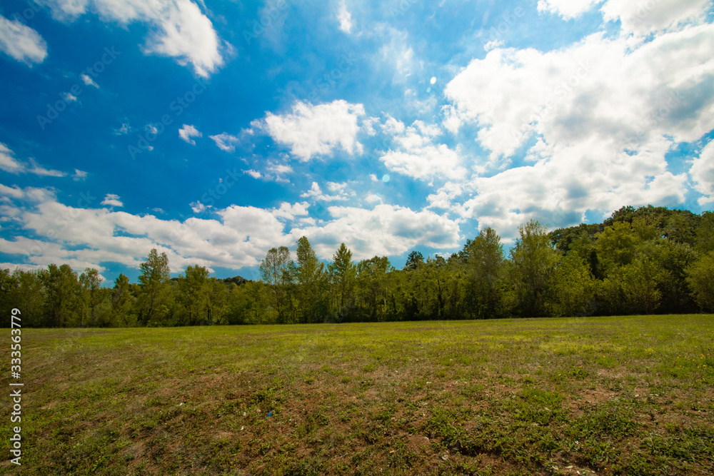 Fototapeta premium summer landscape with blue sky