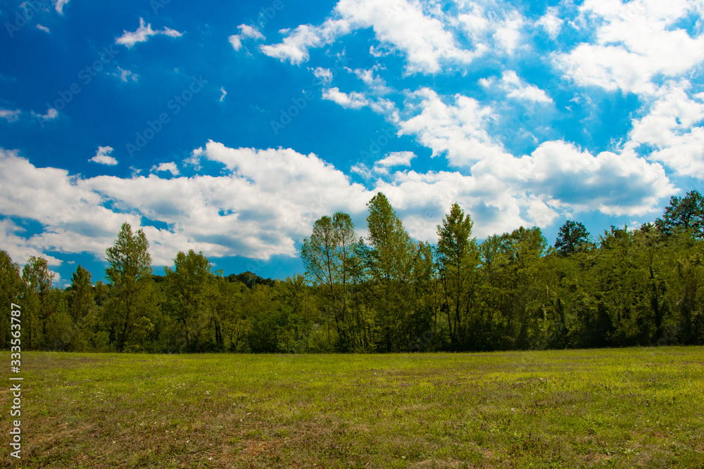 meadow and sky meadow and sky