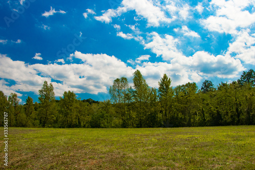 meadow and sky