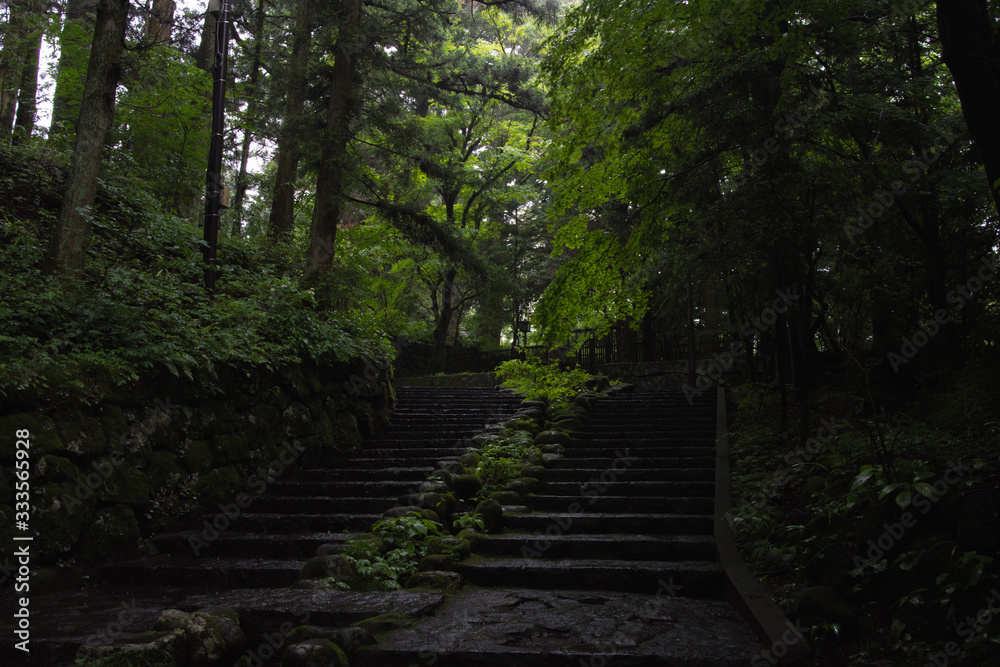 Staircase in Dark Forest Background in Japan Staircase in Dark Forest Background in Japan
