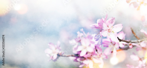 Background with spring flowers © VAlekStudio 