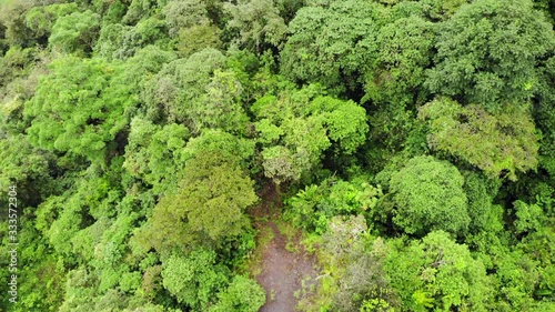 Flying over montane rainforest and a dirt road leading into it. New roads bring  colonists, cattle ranchers into the rainforest. In the Rio Quijos Valley, the Ecuadorian Amazon.