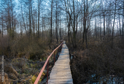 Forest path along an old dilapidated wooden bridge