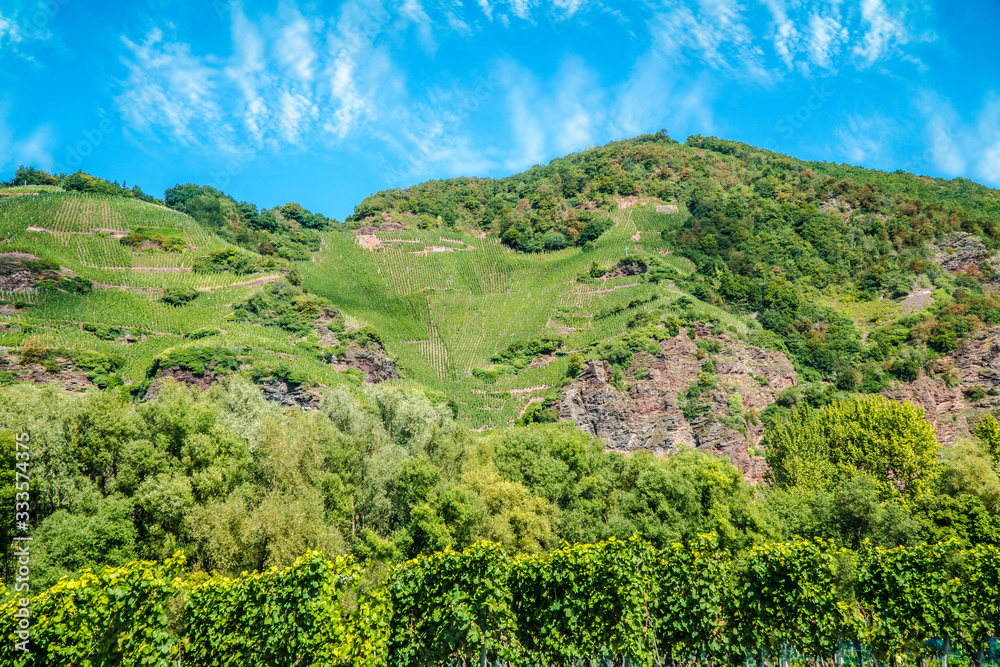 Obraz premium Steep mountain slope with wine growing