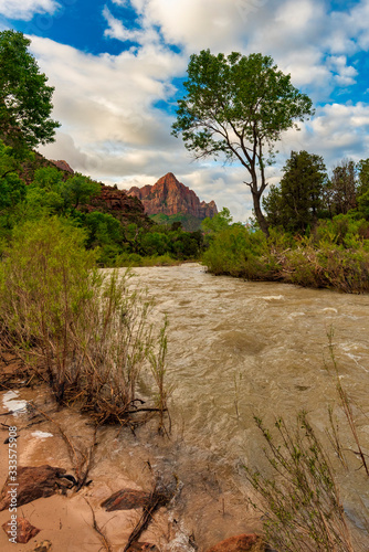 The Watchman mountain viewed from the Virgin River in Zion National Park, Utah.