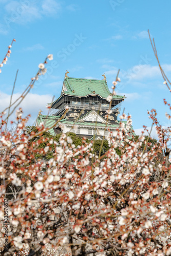 大阪城天守閣と梅林 © tarasan
