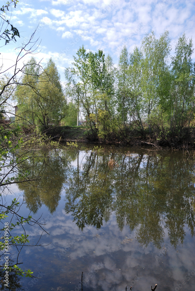 Obraz premium Forest pond